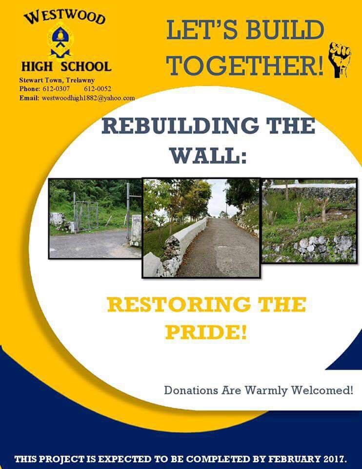 rebuild-wall-whs